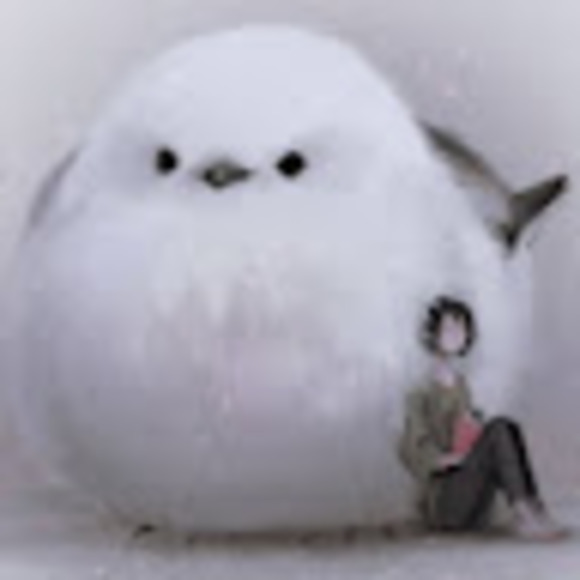 Meet your Posher, Ren - Picture 1 of 1